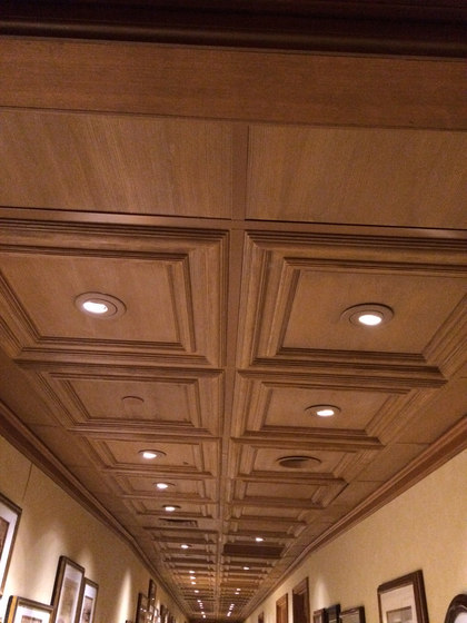 Classic Woodgrain Panel Ceiling Tile | Mineralwerkstoff Platten | Above View Inc