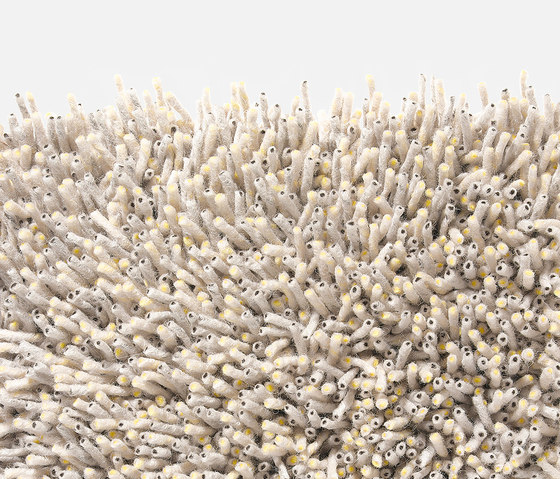 Corale 122 | Wall-to-wall carpets | Kvadrat