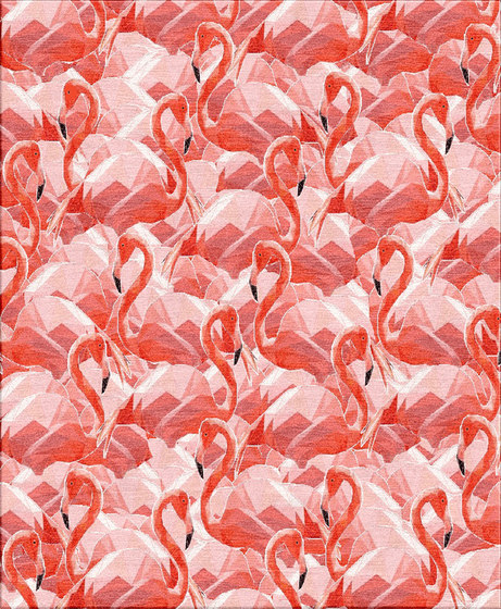 Flamingos | Tappeti / Tappeti design | Illulian