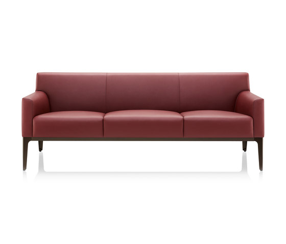 Alexa 3 Seat Sofa | Divani | Boss Design
