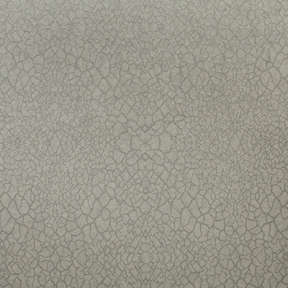 Nashira lace NAI3803 | Wall coverings / wallpapers | Omexco