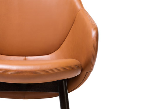 Albu Lounge Armchair | Armchairs | TON A.S.