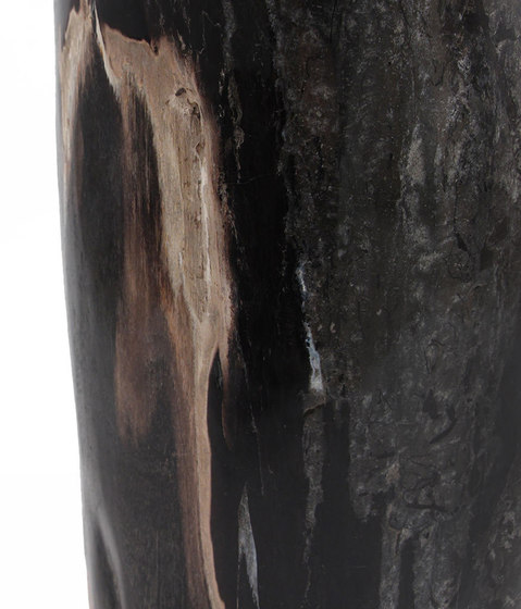 Genuine Petrified Wood Log Table | Mesas auxiliares | Pfeifer Studio