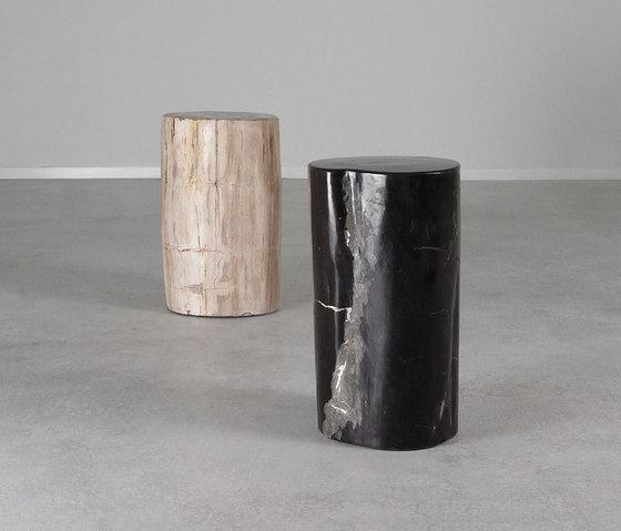 Genuine Petrified Wood Log Table | Beistelltische | Pfeifer Studio