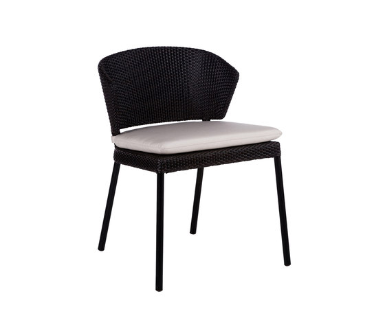 Fennec | Chair | Sedie | Point