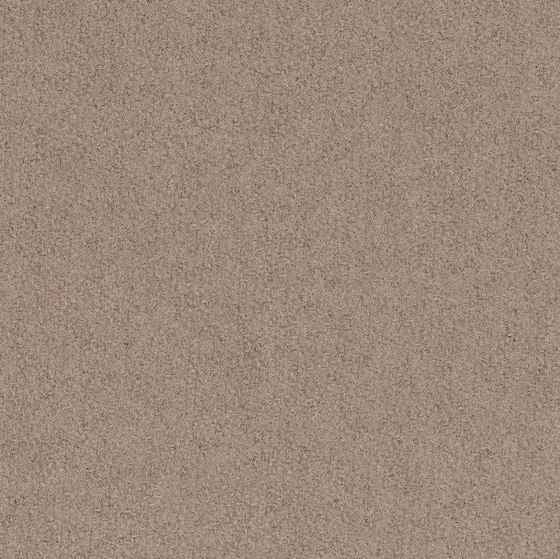 Full Wool | Dune | Upholstery fabrics | Luum Fabrics