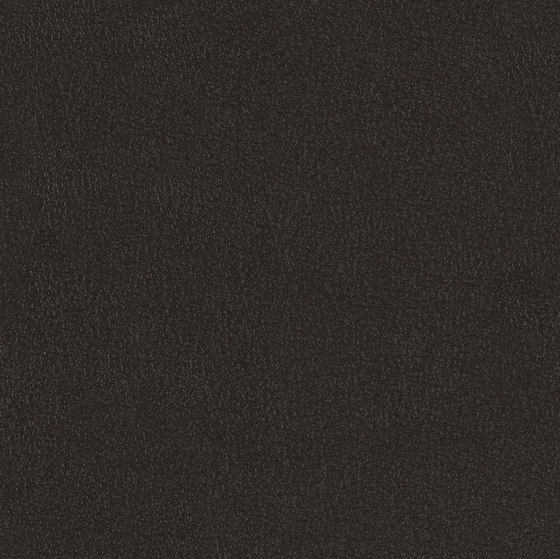 Ultra Durable | Black Velvet | Tejidos tapicerías | Luum Fabrics