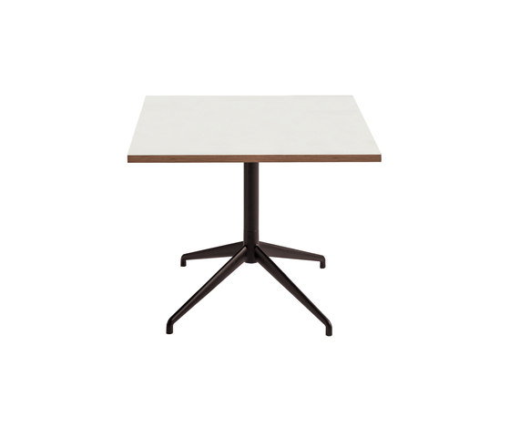 Alis tavolo quadrato | Tavolini bassi | Discipline