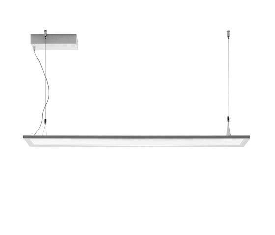 Clear_P | Suspended lights | Linea Light Group