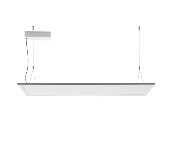 Clear_P | Suspensions | Linea Light Group