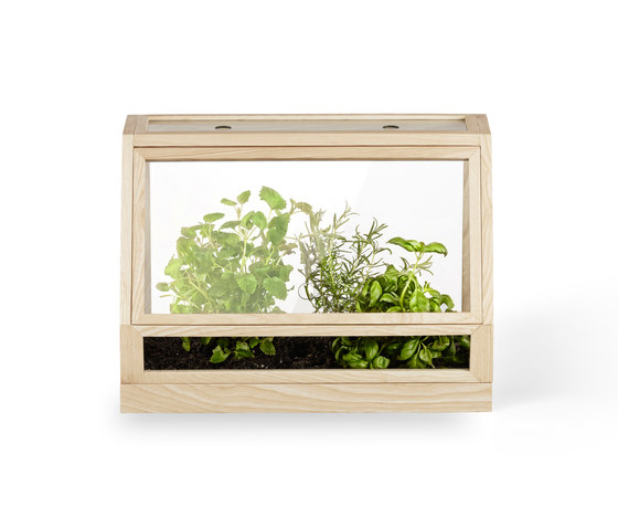 Greenhouse Mini | Ash | Plant pots | Design House Stockholm