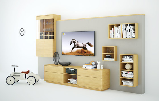 Wally living room | Pareti attrezzate | Sixay Furniture