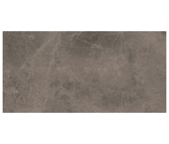 Marstood | Marble 03 | Fior Di Bosco | 60x120 matt | Panneaux céramique | TERRATINTA GROUP