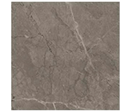 Marstood | Marble 03 | Fior Di Bosco | 15x15 matt | Ceramic tiles | TERRATINTA GROUP
