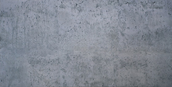 Indewo® Graphic | Muro di cemento | Pannelli legno | europlac