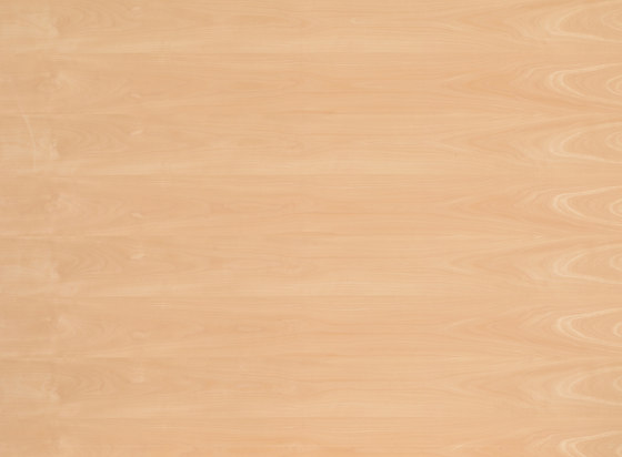 Birkoplex® | Hêtre Etuve | Panneaux de bois | europlac