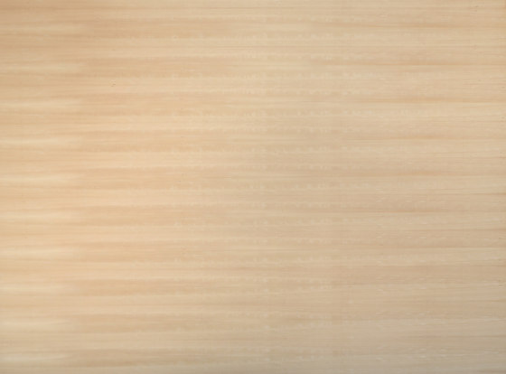 Birkoplex® | Beech unsteamed | Wood panels | europlac