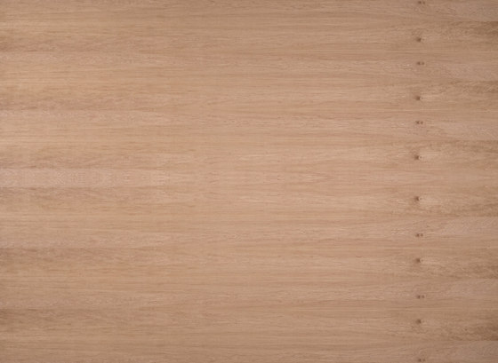 Birkoplex® | Alder european | Wood panels | europlac