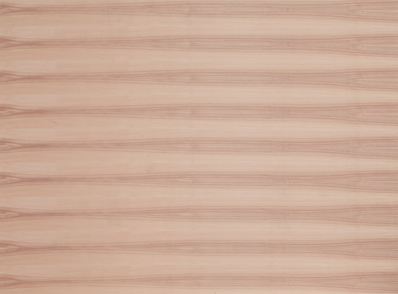 Birkoplex® | Core Beech | Planchas de madera | europlac
