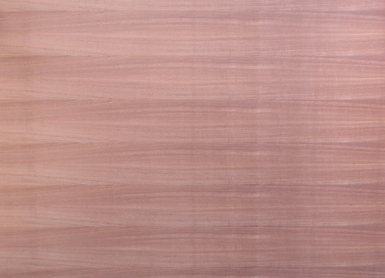 Birkoplex® | Mahogany | Panneaux de bois | europlac