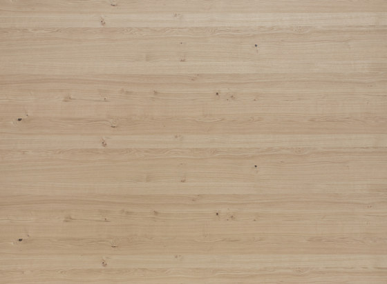 Edelholzcompact | Oak european | Wood panels | europlac