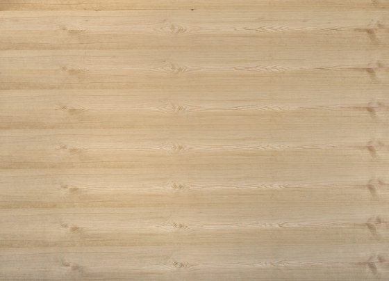 Edelholzcompact | Pine european | Wood panels | europlac