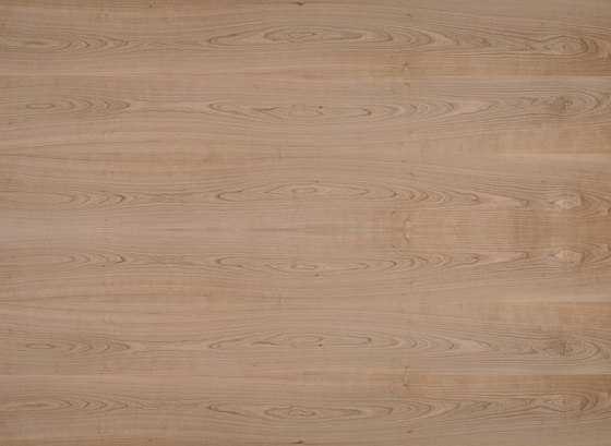 Edelholzcompact | Cherry american | Wood panels | europlac