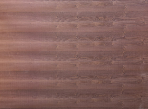 Edelholzcompact | Robinia | Wood panels | europlac