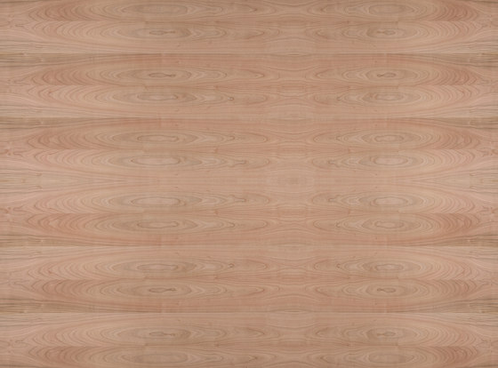 Edelholzcompact | Cherry european | Planchas de madera | europlac