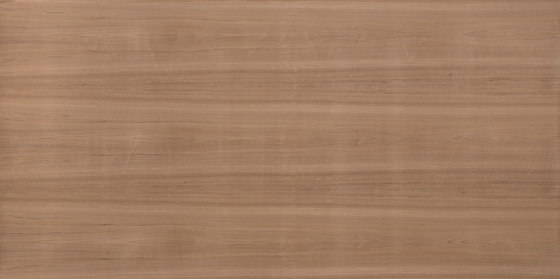 Edelholzcompact | Teak | Wood panels | europlac