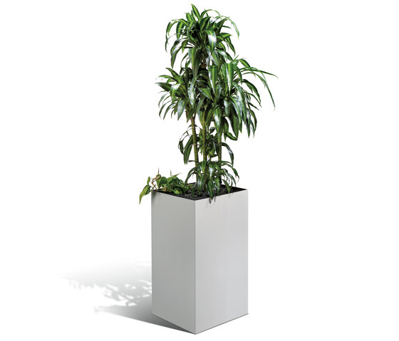 ClimateOffice Akustik Pflanzenkubus | Plant pots | C+P Möbelsysteme