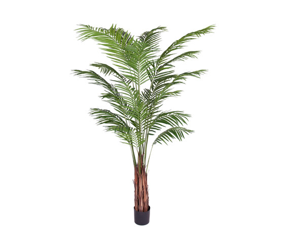 Plantes de Artificielles | Palmier Areca | Plantes artificielles | Götessons