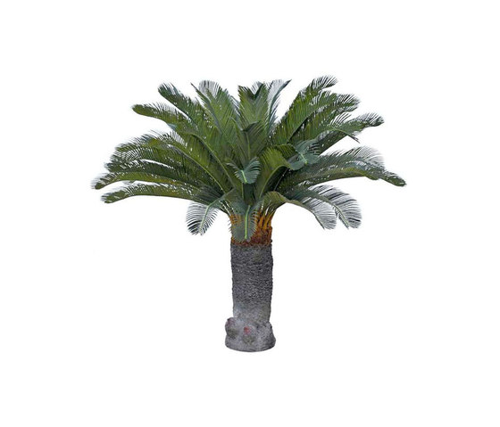 Artificial Plants | Cycas Palm large | Artificial plants | Götessons