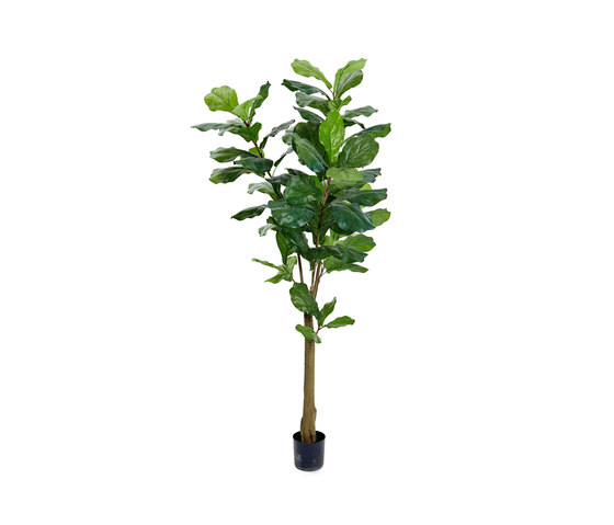 Plantas Artificiales | Fiddle Leaf Fig Tree grande | Plantas artificiales | Götessons