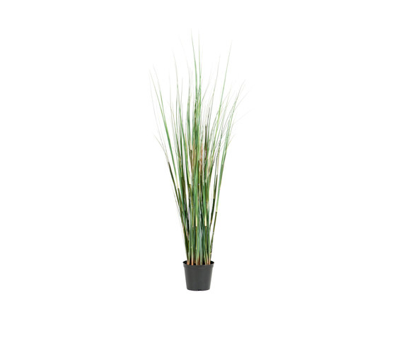 Artificial Plants | Grass in a pot small | Piante artificiali | Götessons