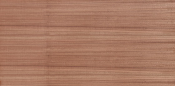 B-Plex®Light | Macore | Wood panels | europlac