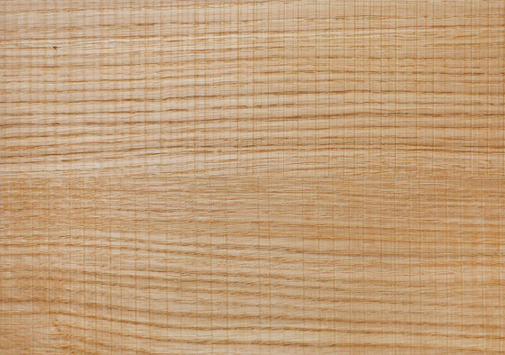 Oberflächenstruktur sägerau fein | Holz Platten | europlac