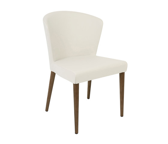 Verona Chair, White With Wenge Legs | Sedie | Oggetti