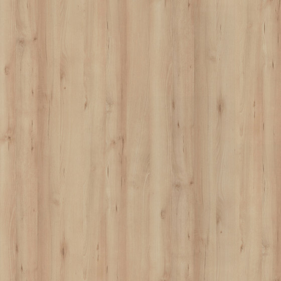 Iconic Beech | Wood panels | Pfleiderer