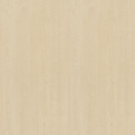Lund Birch | Wood panels | Pfleiderer