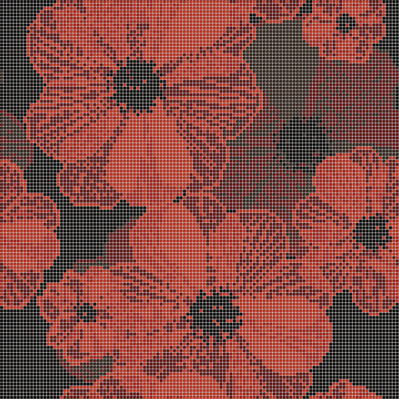 Decor Blooming | Poppy Suit Red 10x10 | Mosaici vetro | Mosaico+