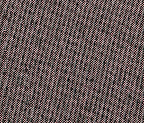 Rivet Woodrose | Tissus d'ameublement | Camira Fabrics