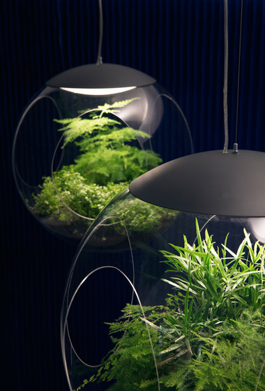 Babylone clear by Greenworks | Suspended lights