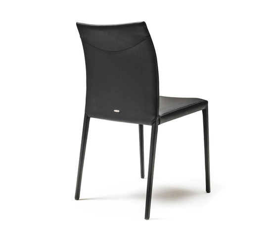 Norma | Chairs | Cattelan Italia
