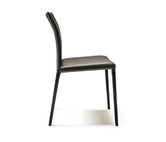 Norma | Chairs | Cattelan Italia