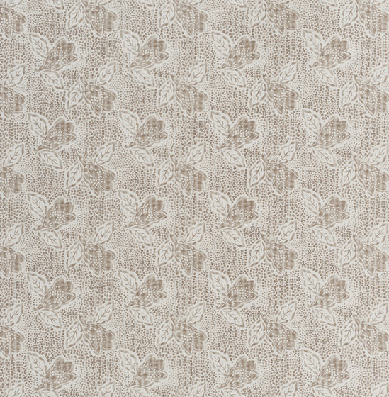 Rufolo Fabrics | Franca - Latte | Tissus de décoration | Designers Guild