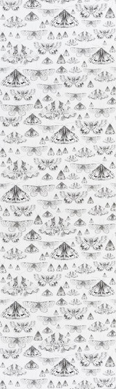 Jardin Des Plantes Wallpaper | Issoria - Black And White | Drapery fabrics | Designers Guild
