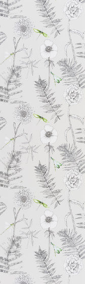Majolica Wallpaper | Acanthus - Graphite | Tissus de décoration | Designers Guild