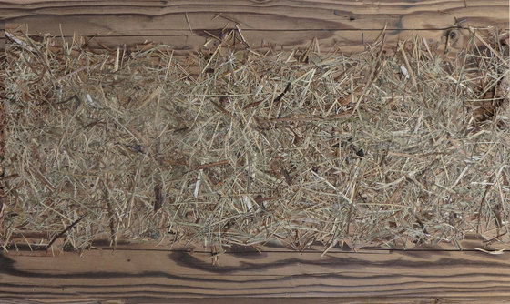 ELEMENTs Selection Galleria Legno vecchio spaccato H3, senza trattamento con fieno di montagna e margherita | Pannelli legno | Admonter Holzindustrie AG