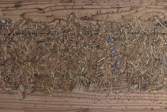 ELEMENTs Selection Galleria Vieux bois extreme brut avec tiges de lavande, teinté foncé | Panneaux de bois | Admonter Holzindustrie AG